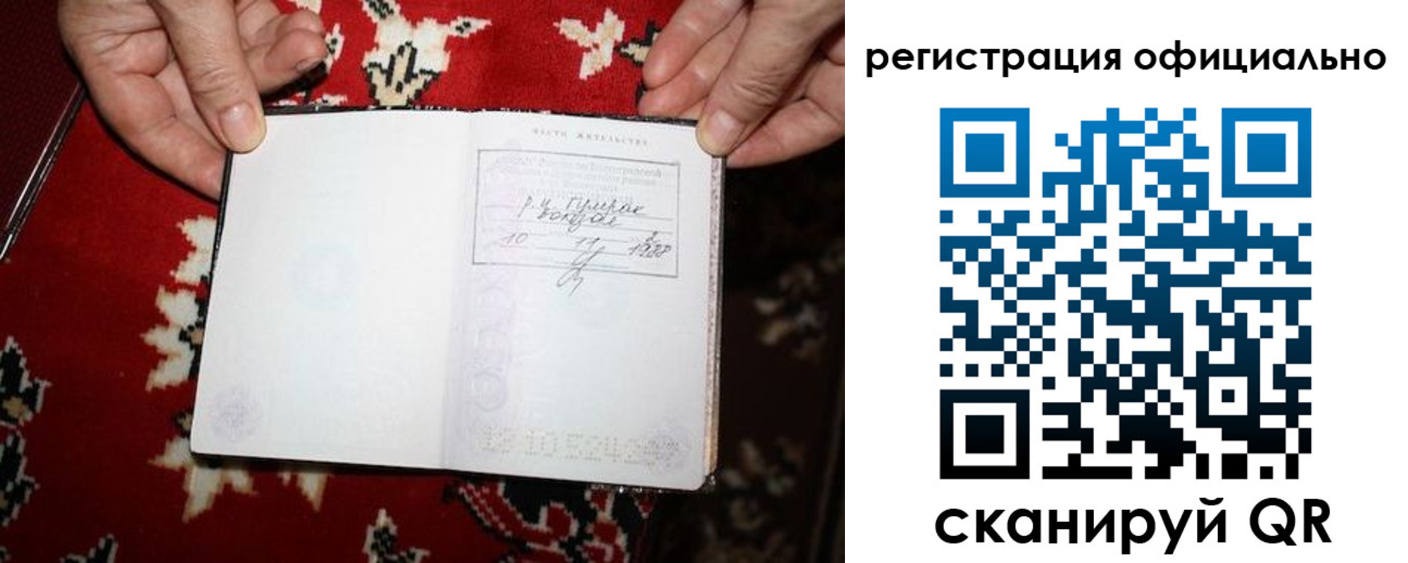 временная регистрация гарантия в Тавде